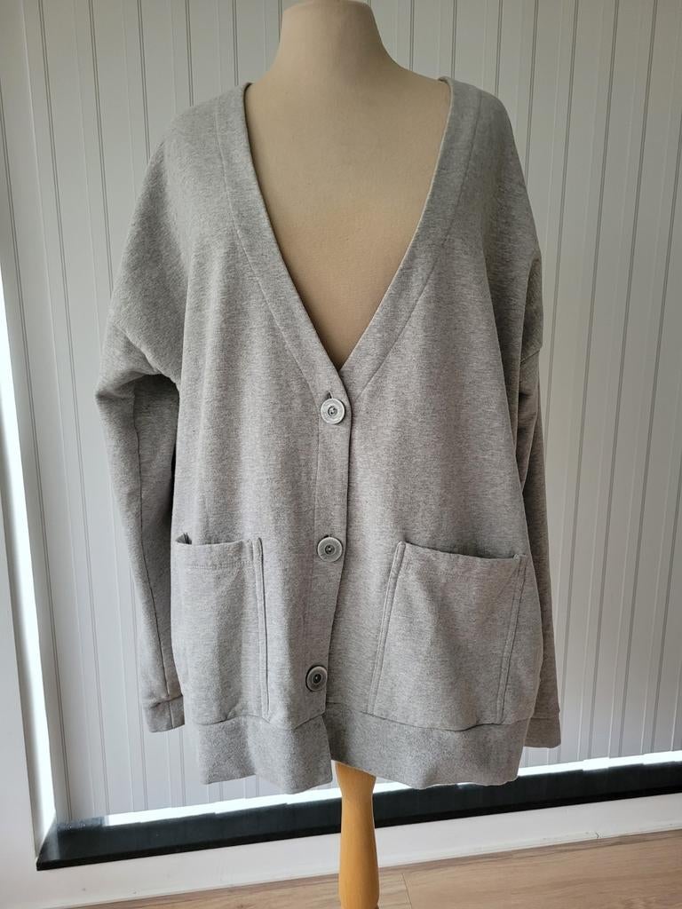 Penn & Ink vest maat L lichtgrijs nieuw met prijskaartje, Kleding | Dames, Truien en Vesten, Ophalen of Verzenden