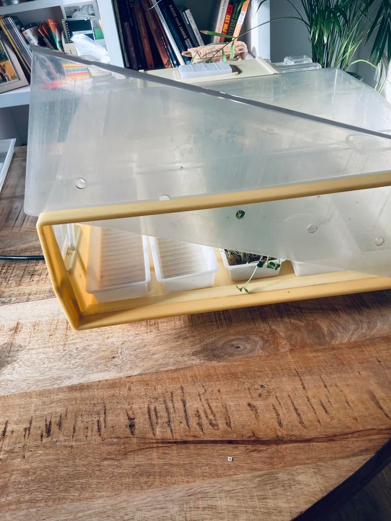 Easygreen auto sprouter kiemsysteem, Tuin en Terras, Kweekspullen, Ophalen of Verzenden, Gebruikt, Kweekbak