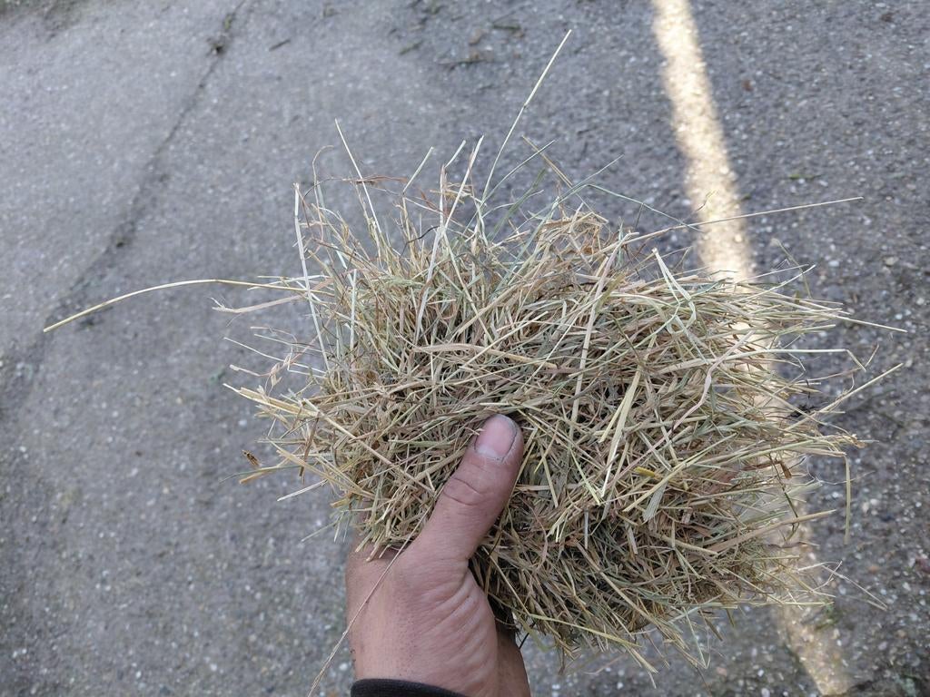 Mooi paardenhooi 2e snede - juli 2025, Ophalen of Verzenden