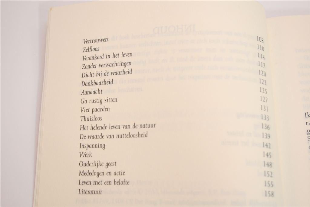 Zen als Hulp bij Depressie — Filosofie en Oefeningen, Boeken, Ophalen of Verzenden, Gelezen, Overige onderwerpen, Achtergrond en Informatie