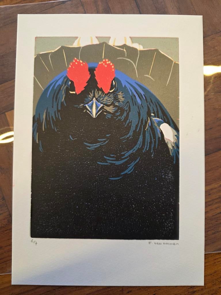 Erik van Ommen. Korhoen. Houtsnede., 2000 tot heden, Ophalen of Verzenden, Houtsnede, Flora en Fauna