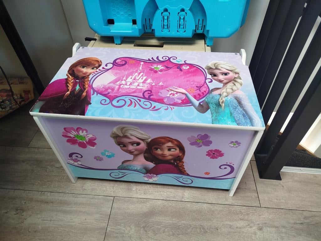 Kist Frozen opbergen, Ophalen, Gebruikt, Overige typen