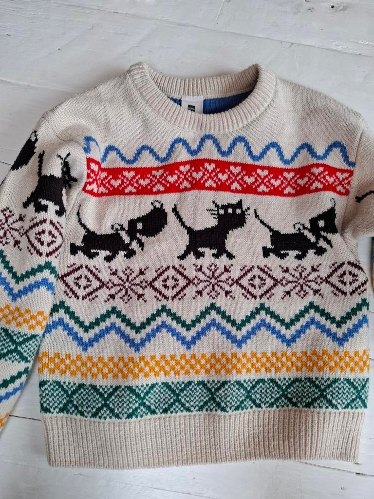 Takkie siepie trui maat 110/116, Ophalen of Verzenden, Zo goed als nieuw, Meisje, Trui of Vest