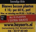 van af € 10,- in 60 liter pot, Tuin en Terras, Planten | Fruitbomen, Ophalen, Lente, Overige soorten, In pot