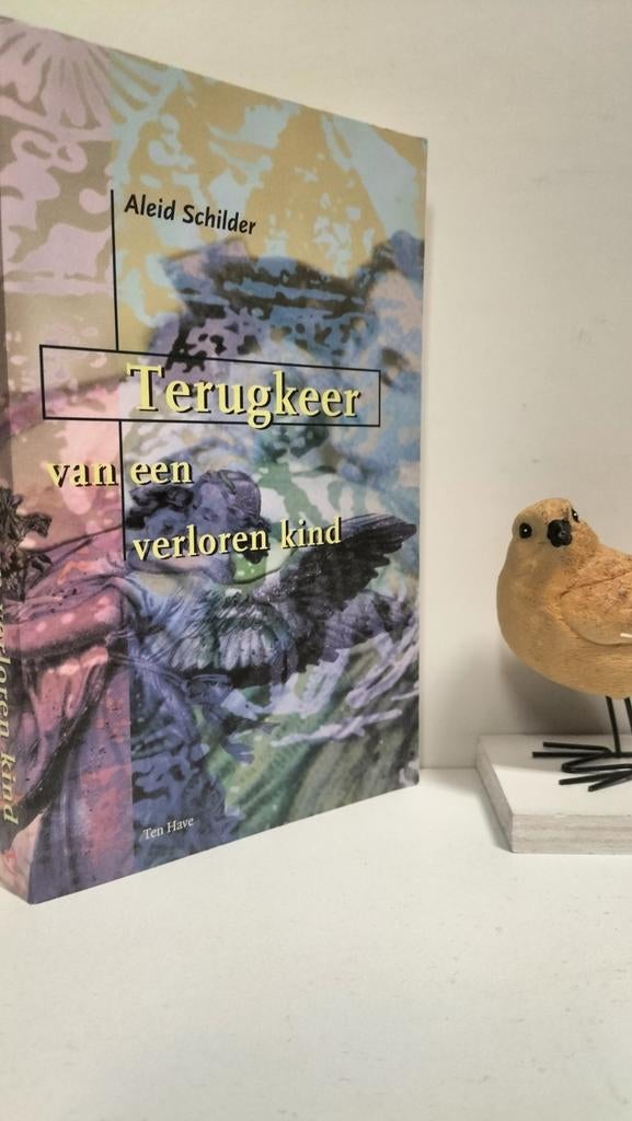 Schilder, Aleid; Terugkeer van een verloren kind, Boeken, Ophalen of Verzenden, Gelezen