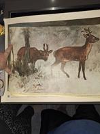 Poster met Herten, Ophalen of Verzenden