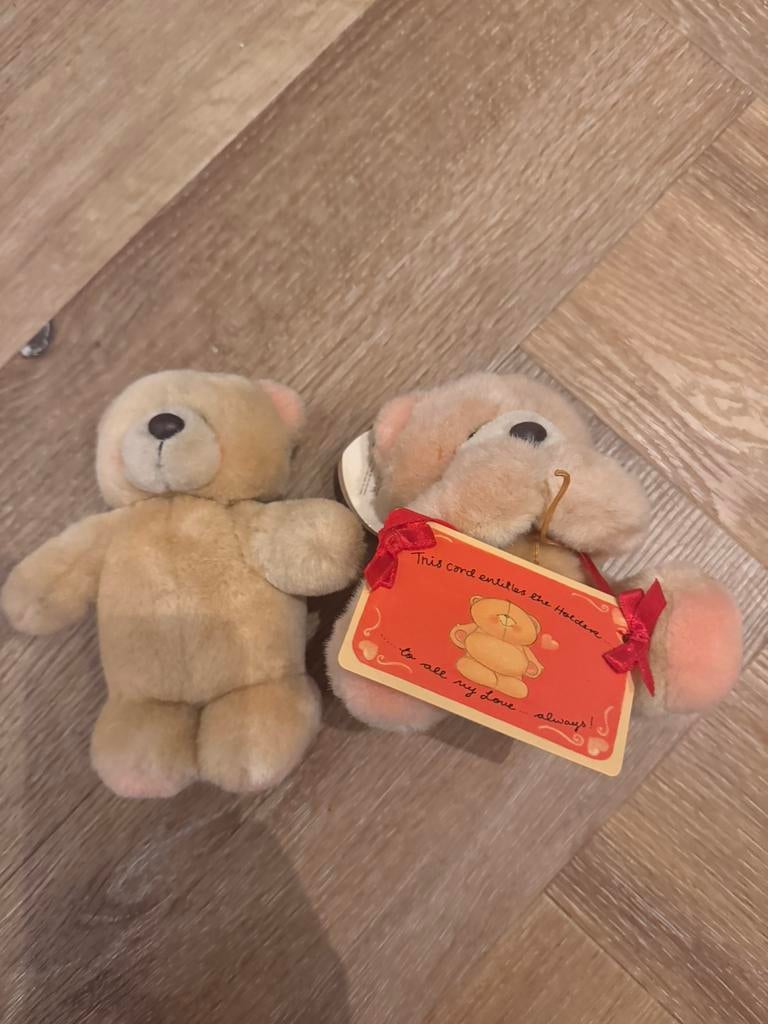 Forever friends beertjes, Verzamelen, Beren en Cherished Teddies, Ophalen of Verzenden, Zo goed als nieuw, Stoffen beer, Forever Friends