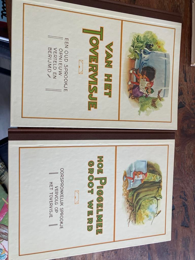 Van het Tovervisje & Hoe Piggelmee Groot Werd, Boeken, Ophalen, Gelezen
