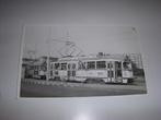 Originele foto Haagse Tram 1966, Heineken bier, Verzamelen, Ophalen of Verzenden, Gebruikt, Tram, Overige typen