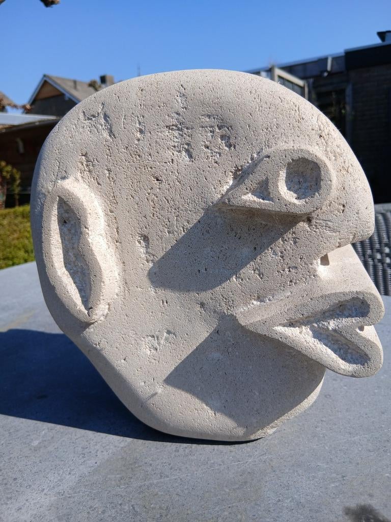 Kop fantasie, Antiek en Kunst, Kunst | Beelden en Houtsnijwerken, Ophalen