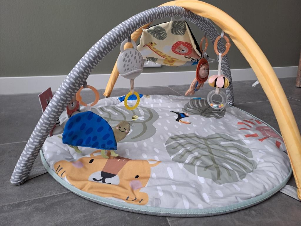Taf Toys babygym, Ophalen of Verzenden, Zo goed als nieuw, Babygym, Met licht
