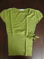 Trui / positietrui maat 38 / 40 / m, Kleding | Dames, Positiekleding, Maat 38/40 (M), Trui of Vest, Ophalen of Verzenden, Gedragen