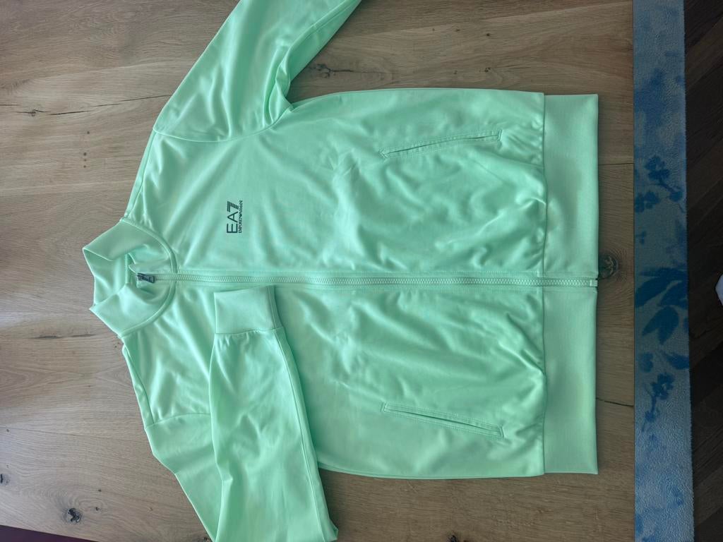 EMPORIO ARMANI VEST L, Kleding | Heren, Truien en Vesten, Ophalen of Verzenden, Nieuw, Maat 52/54 (L), Groen