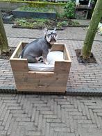 Te koop hondenmand., Meerdere dieren, Schaap