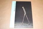 Alberto Giacometti 1901-1966 - Beelden, schilderijen, tekeni, Ophalen of Verzenden, Zo goed als nieuw