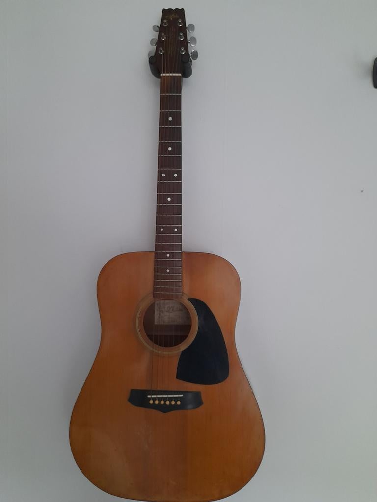 Vintage Aria LW10 akoestische gitaar, Muziek en Instrumenten, Snaarinstrumenten | Gitaren | Akoestisch, Ophalen, Gebruikt, Western- of Steelstringgitaar
