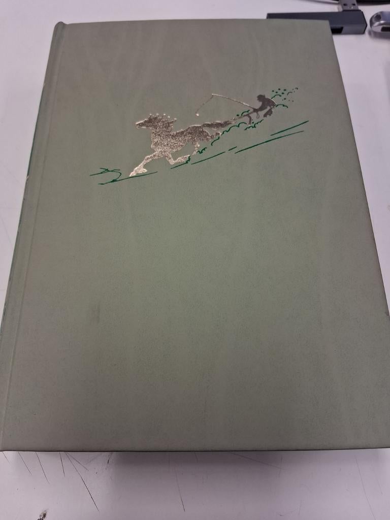 Het Geslacht Bjørndal -Trygve Gulbranssen (Nederlandse Boek, Boeken, Ophalen of Verzenden, Gelezen, Trygve Gulbranssen, Nederland