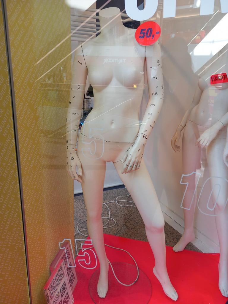 Paspoppen te koop i.v.m. verhuizing - Eindhoven, Ophalen, Zo goed als nieuw