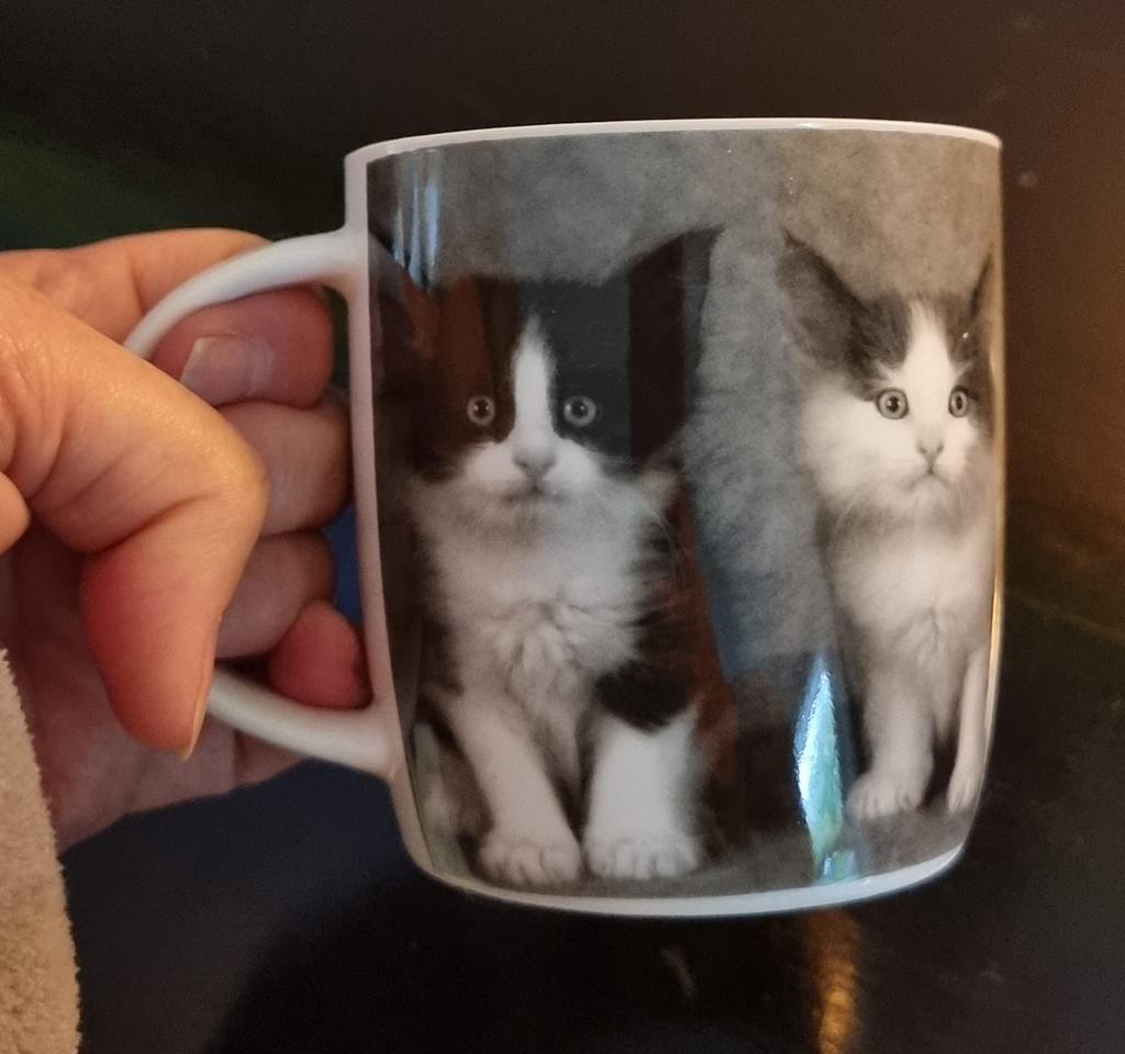New Cat Mug, Huis en Inrichting, Ophalen of Verzenden, Nieuw, Overige stijlen