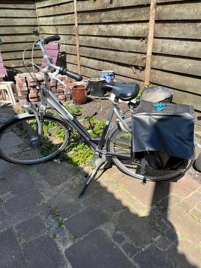 Dames fiets, 55 cm of meer, Ophalen, Gebruikt, Minder dan 10 versnellingen