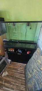 ExoTerra Complete Set (Bieden mogelijk), Dieren en Toebehoren, Reptielen en Amfibieën | Toebehoren, Ophalen