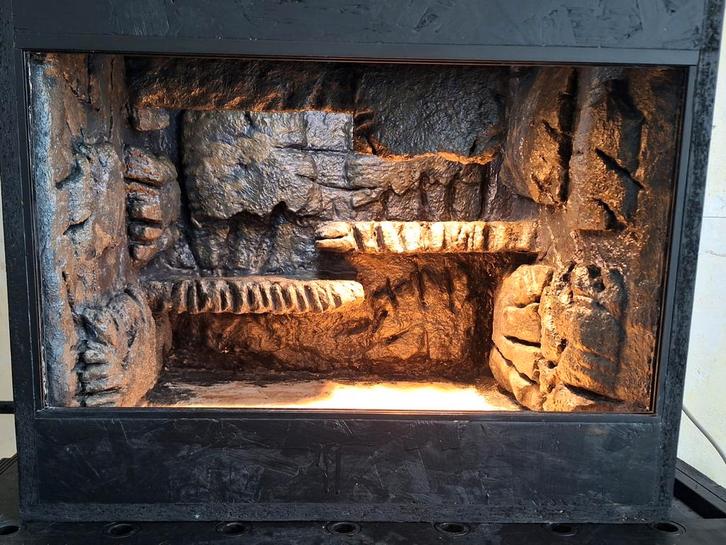 OSB Terrarium 60x50x50 met 3D achterwand, Dieren en Toebehoren, Reptielen en Amfibieën | Toebehoren, Gebruikt, Terrarium of Paludarium