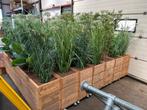 Kunstplanten in steigerhouten plantenbak 7 stuks, Ophalen, Tuin, 100 cm of meer, Zo goed als nieuw