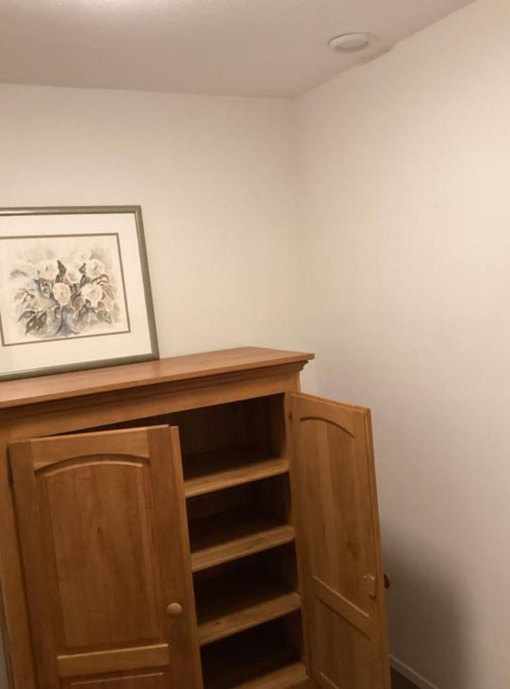 houten kast, Huis en Inrichting, Kasten | Buffetkasten, Gebruikt, 100 tot 150 cm, 50 tot 100 cm, 25 tot 50 cm, Met deur(en), Met plank(en)