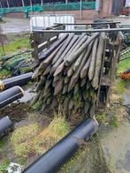 Weidepalen, Ophalen, Zo goed als nieuw, Minder dan 180 cm, Palen