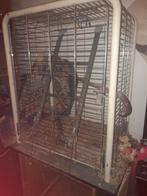 Papagaaien kooi H 100 B80 D50, Dieren en Toebehoren, Ophalen of Verzenden, Gebruikt, Metaal, Vogelkooi