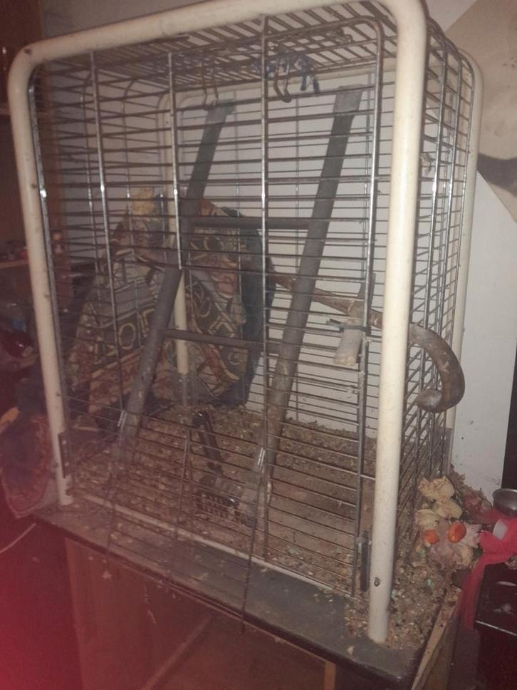 Papagaaien kooi H 100 B80 D50, Dieren en Toebehoren, Vogels | Hokken en Kooien, Gebruikt, Vogelkooi, Metaal, Ophalen of Verzenden