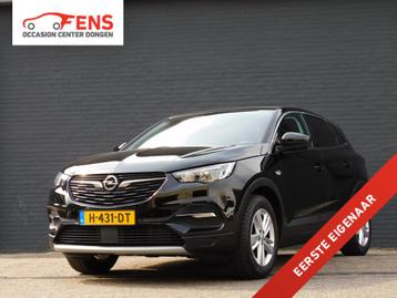 Opel Grandland X 1.2 Turbo Business Executive 1e EIGENAAR! D beschikbaar voor biedingen