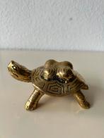 Prachtig brons gepolijsde artistiek schildpad figuur kunst, Antiek en Kunst, Ophalen of Verzenden