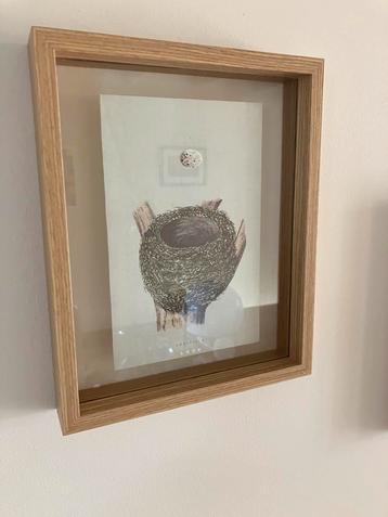 Lijst met vogel nest illustratie beschikbaar voor biedingen