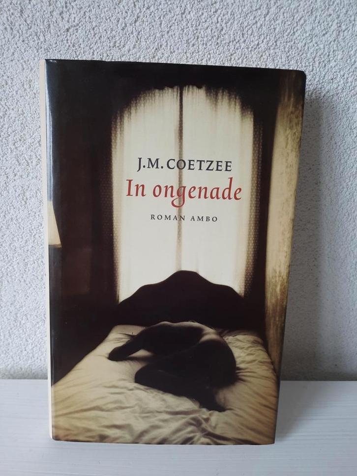 Boek Hardcover In ongenade J.M. Coetzee 2003, Boeken, Literatuur, Zo goed als nieuw, Nederland, Ophalen of Verzenden