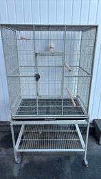 Vogelkooi, Ophalen, Zo goed als nieuw, Metaal, Vogelkooi