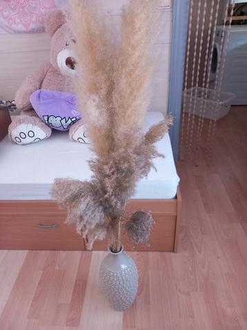 Vaas incl pampaspluimen beschikbaar voor biedingen