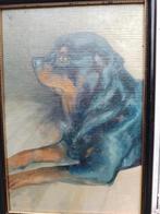 Rottweiler Veronica van Veen, Antiek en Kunst, Ophalen of Verzenden