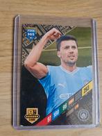 Voetbalplaatje Rodri uit 2024, Ophalen of Verzenden, Zo goed als nieuw, Plaatje