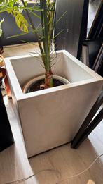 Plant pot Elho, Tuin en Terras, Ophalen, Rond, Aardewerk, Minder dan 25 cm