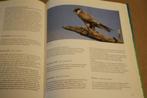 Biesbosch-vogels. Jubileumuitgave 80 jaar Vogelbescherming., Boeken, Ophalen of Verzenden, Gelezen, Vogels