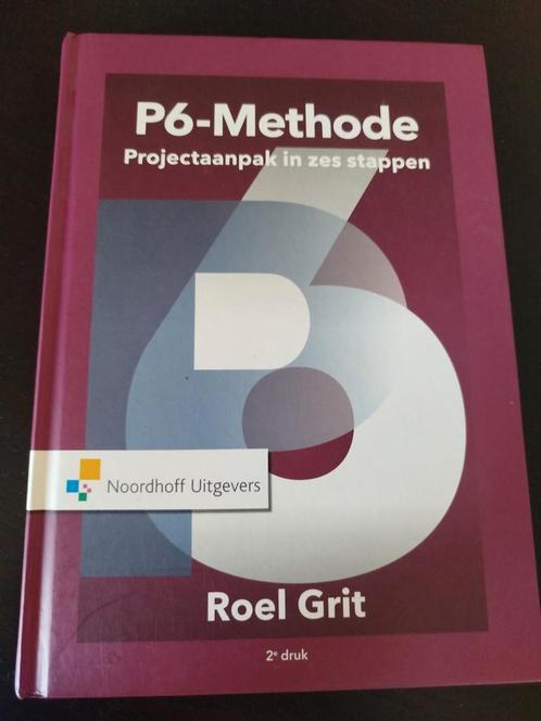 Roel Grit - Projectaanpak in zes stappen, Boeken, Wetenschap, Zo goed als nieuw, Ophalen of Verzenden