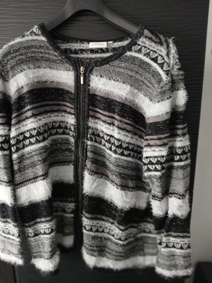 zwart wit gestreepte dames vest maat xl, Kleding | Dames, Grote Maten, Zo goed als nieuw, Trui of Vest, Zwart, Ophalen of Verzenden