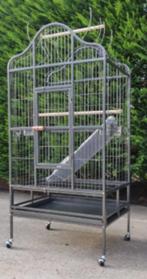 PAPEGAAIENKOOI, Dieren en Toebehoren, Ophalen of Verzenden, Gebruikt, Metaal, Vogelkooi
