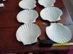 6 grote jacobsschelpen, Verzamelen, Mineralen en Fossielen, Ophalen of Verzenden, Schelp(en)