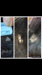 Sarcoiden spray, Ophalen of Verzenden, Nieuw