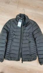 Airport Padded jacket Beluga, Ophalen of Verzenden, Nieuw