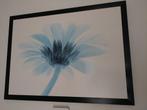 Schilderij blauwe bloem 75 x 55, Ophalen, Gebruikt, 50 tot 75 cm, Schilderij