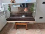 Terrarium, Dieren en Toebehoren, Reptielen en Amfibieën | Toebehoren, Ophalen, Gebruikt