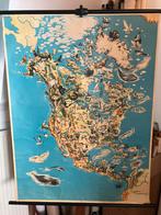 Schoolkaart Noord Amerika, Antiek en Kunst, Ophalen of Verzenden, Natuur en Biologie